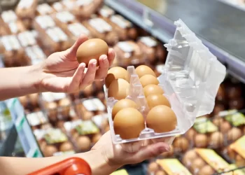 Shopping for eggs