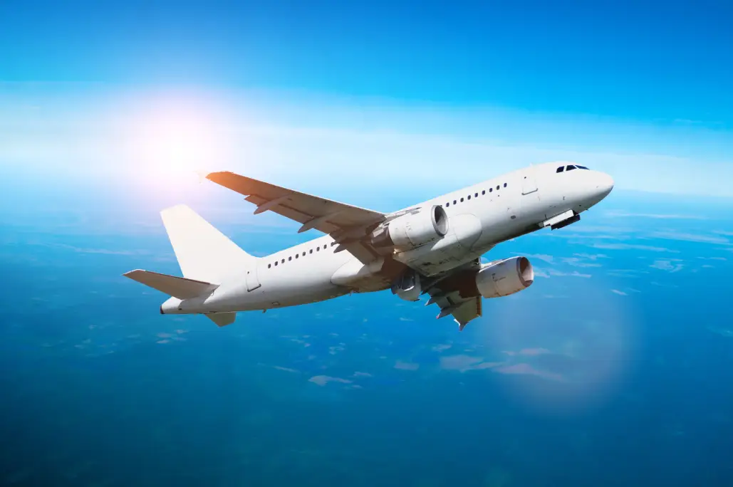 Flight Risk