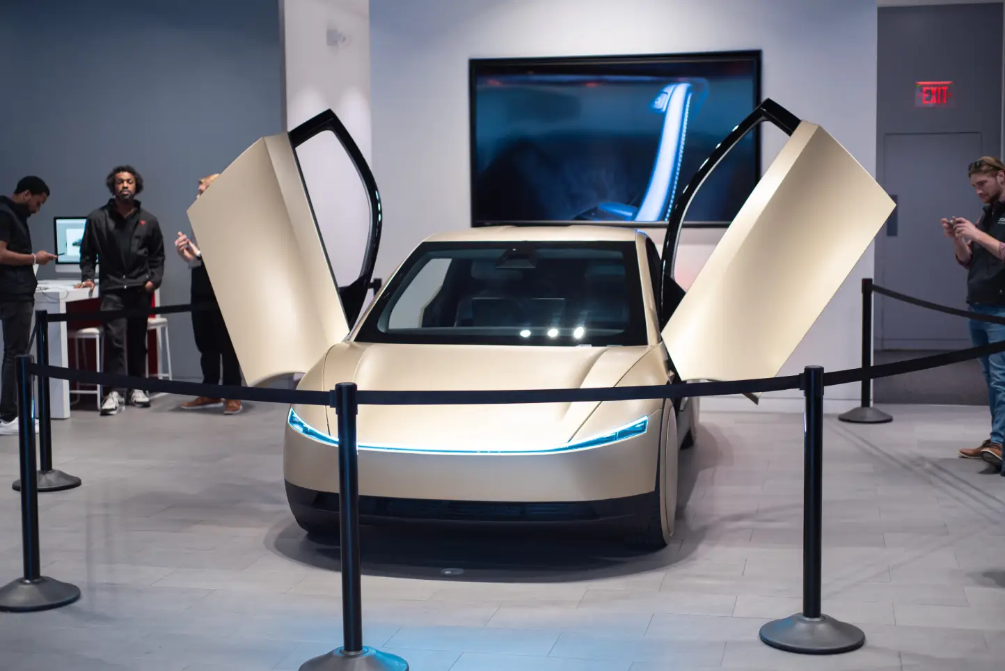 Tesla Robotaxi