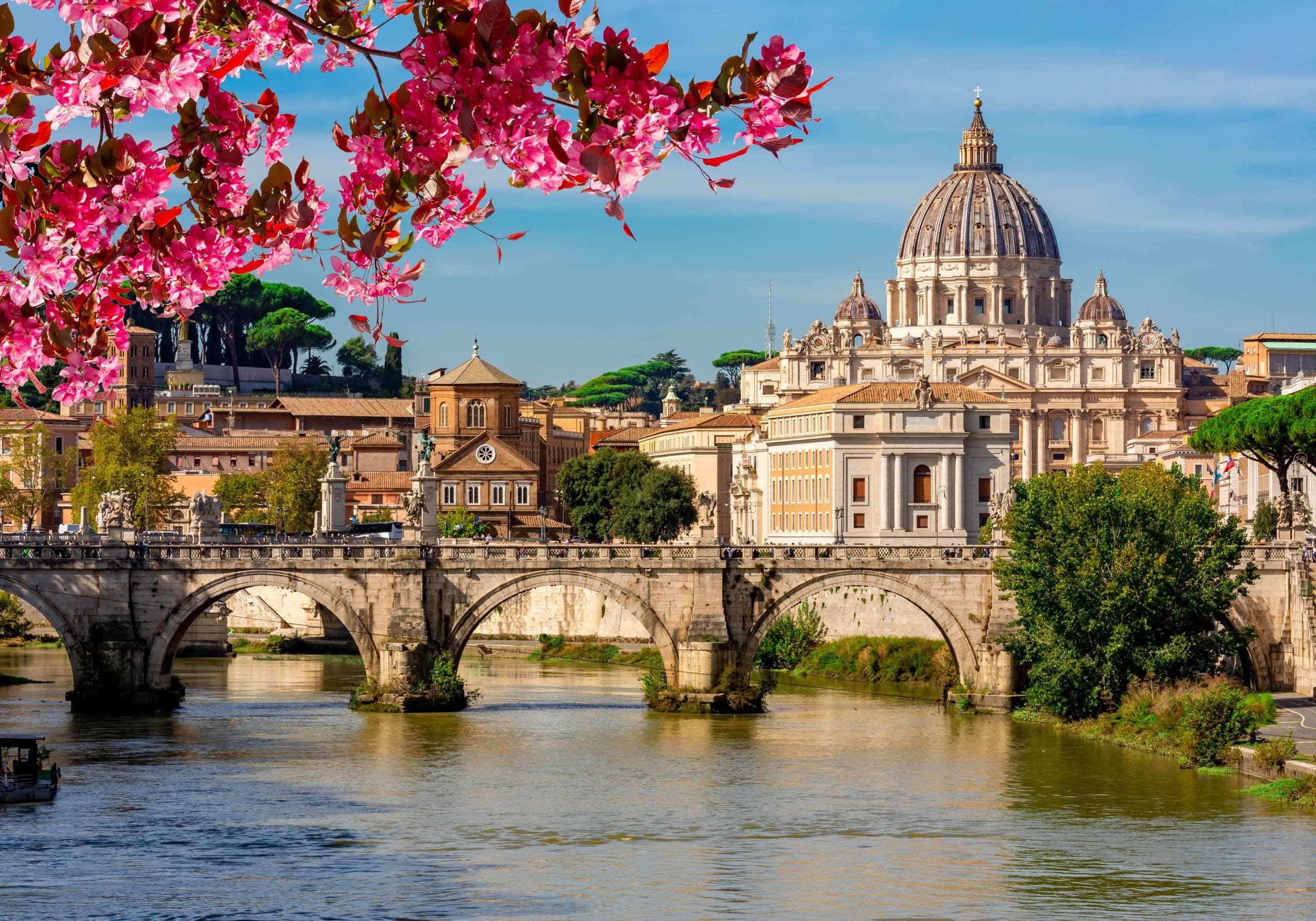 Pink flowers and a long distance shot of the Vatican