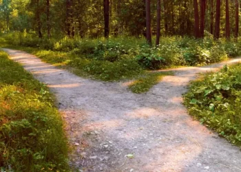 Inplay Forging New Path to Sports Trading